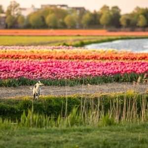 vacances de printemps