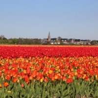 Vacances de printemps LvvG