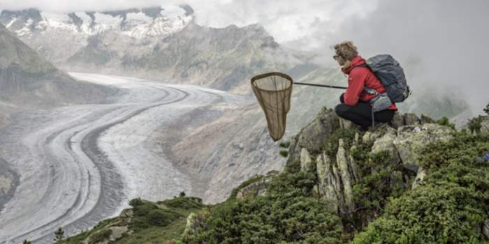 Visite de l'exposition de Lucas Foglia "Vol de papillon" au Fotomuseum de La Haye