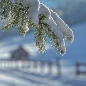 Vacances d'hiver