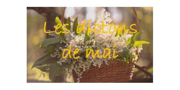 Saviez-vous que chaque jour de mai a son dicton ?