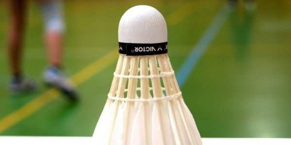 International Ladies Badminton Club